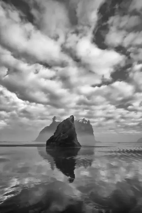 Framed Print : North America, USA, Washington, Olympic National Park. Black and white image of sea stack Framed Print : North America, USA, Washington, Olympic National Park. Black and white image of sea stack