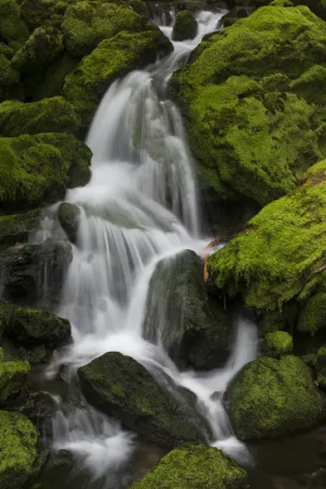 Framed Print : North America, USA, Washington. Detail of small unnamed falls near Fall Creek Falls