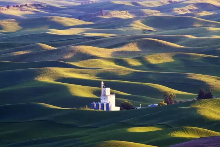 Framed Print : North America, USA, Washington, Spring in Palouse Country Washington with Grain Silo Framed Print : North America, USA, Washington, Spring in Palouse Country Washington with Grain Silo