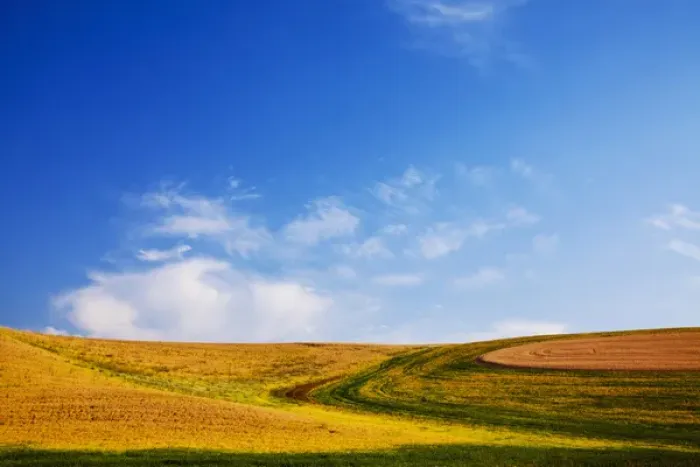 Framed Print : North America, USA, Washington, Palouse Country, Fields of Golden Harvest Wheat Framed Print : North America, USA, Washington, Palouse Country, Fields of Golden Harvest Wheat
