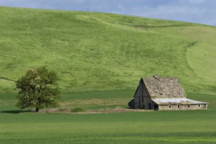 Framed Print : North America, USA, Washington, Palouse area. Barn near St. John
