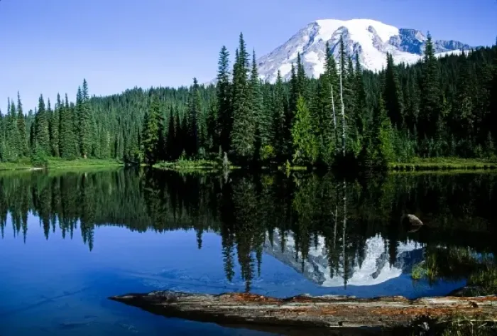 Framed Print : North America, USA, Washington, Mt Rainier National Park. Mt. Rainier reflected in Framed Print : North America, USA, Washington, Mt Rainier National Park. Mt. Rainier reflected in