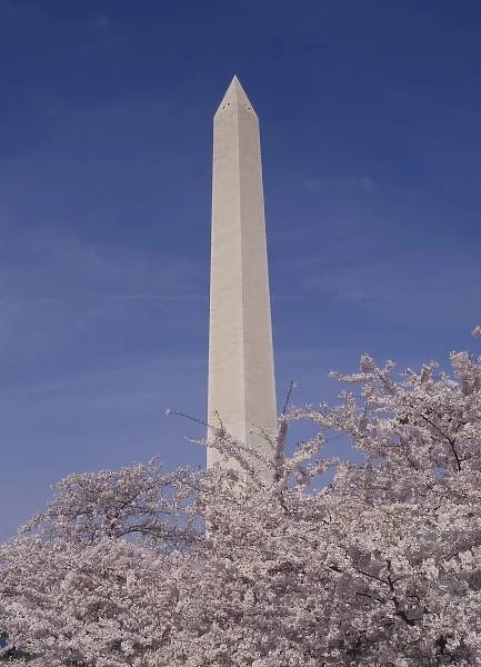 North America, USA, Washington D. C Washington Monument