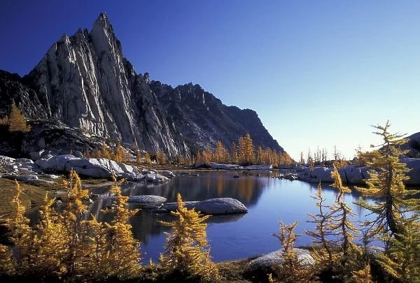 North America, USA, Washington, Enchantment Lakes. Prusik peak and golden larches at Gnome Tarn