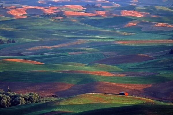 North America, USA, Washington. Late afternoon vista from Steptoe Butte