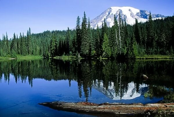 North America, USA, Washington, Mt Rainier National Park. Mt. Rainier reflected in