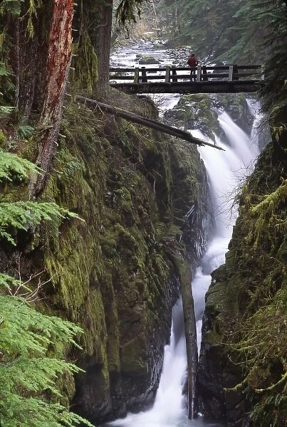 North America, USA, Washington, Olympic National Park. Sol Duc Falls and bridge