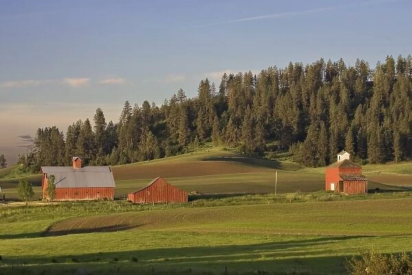 North America, USA, Washington, Palouse area. Barns near Kamiac Butte