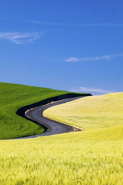 North America, USA, Washington, Palouse Country, Road Leading Through Spring and Winter