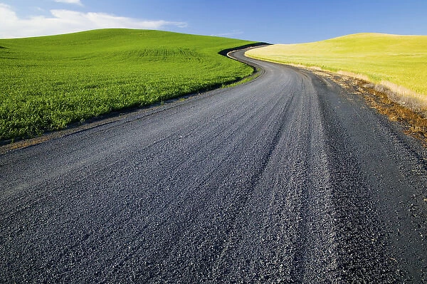 North America, USA, Washington, Palouse Country, Road Leading Through Spring and Winter