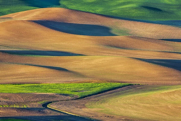 North America; USA; Washington; Palouse Country; Spring Rolling Hills of Wheat and Fallow