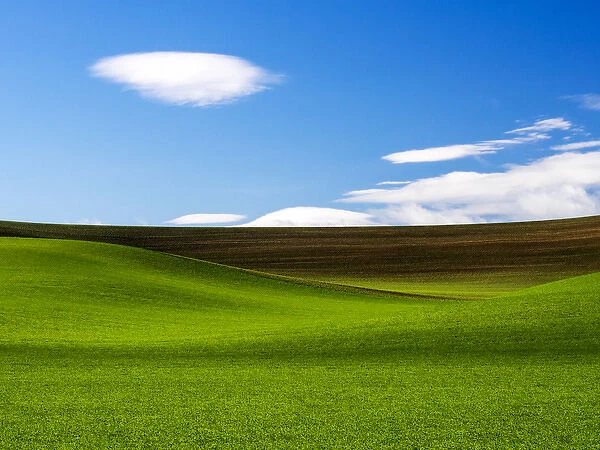 North America; USA; Washington; Palouse Country; Spring Wheat Field and Clouds