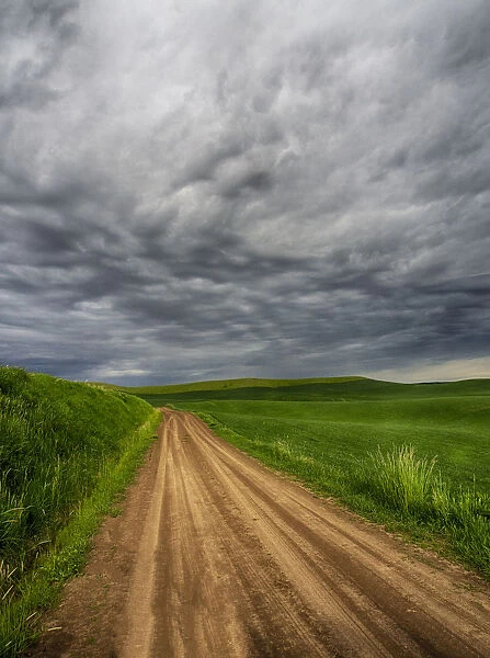 North America; USA; Washington; Palouse Country; Stormy Day Traveling through Country