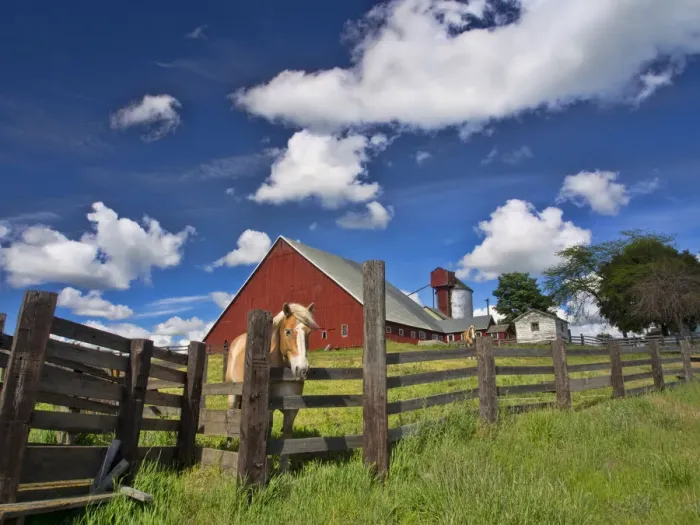Framed Print : North America; USA; Washington; Palouse Country; Colfax; Old Red Barn with Fence and Horse Framed Print : North America; USA; Washington; Palouse Country; Colfax; Old Red Barn with Fence and Horse