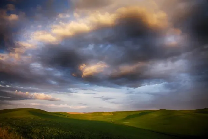 Framed Print : North America; USA; Washington; Palouse Country; Rolling Hills of Green Spring Wheat