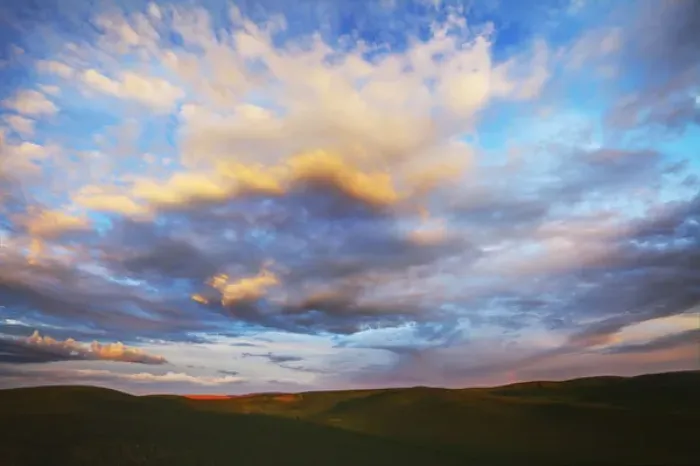 Framed Print : North America; USA; Washington; Palouse Country; Rolling Hills of Green Spring Wheat