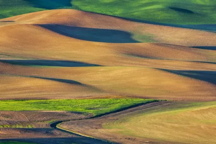 Framed Print : North America; USA; Washington; Palouse Country; Spring Rolling Hills of Wheat and Fallow Framed Print : North America; USA; Washington; Palouse Country; Spring Rolling Hills of Wheat and Fallow