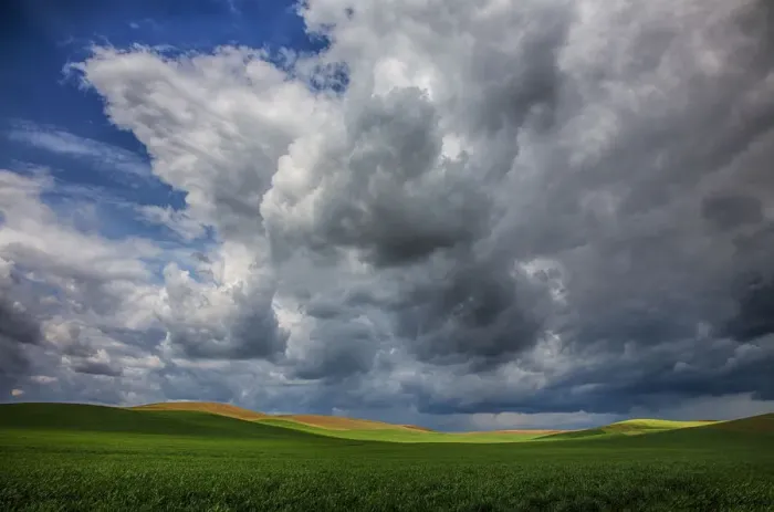 Framed Print : North America; USA; Washington; Palouse Country; Spring Rolling Hills of Wheat and Fallow