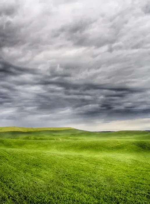 Framed Print : North America; USA; Washington; Palouse Country; Spring Wheat Field With Storm Coming