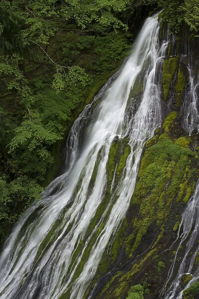 North America, USA, Washington. Detail of Panther Creek Falls, near Columbia River Gorge