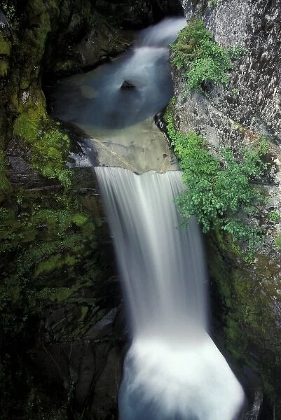 North America, USA, Washington, Rainier National Park. Christine Falls