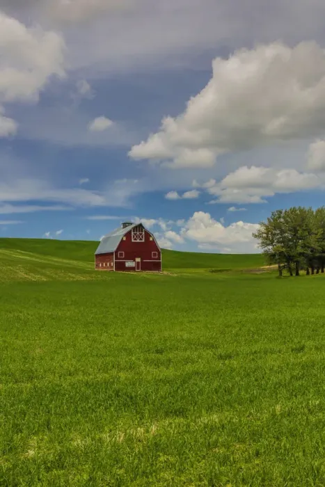 Framed Print : North America; USA; Washington; Red Barn in Spring