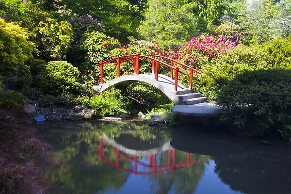 North America; USA; Washington; Seattle; Kabota Gardens; Spring Flowers and Moon Bridge