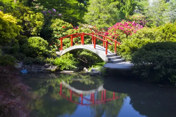 Framed Print : North America; USA; Washington; Seattle; Kabota Gardens; Spring Flowers and Moon Bridge Framed Print : North America; USA; Washington; Seattle; Kabota Gardens; Spring Flowers and Moon Bridge