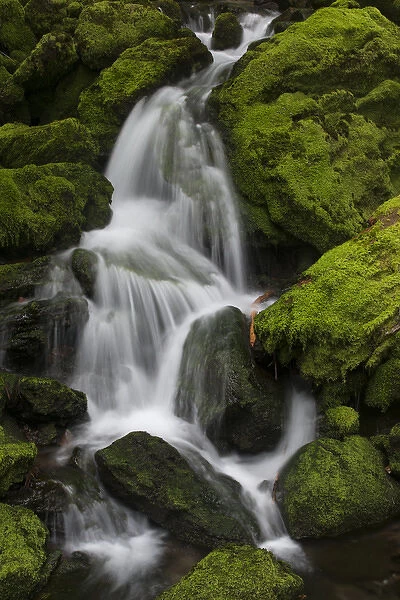 North America, USA, Washington. Detail of small unnamed falls near Fall Creek Falls