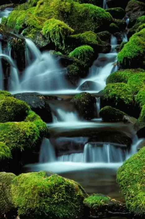Framed Print : North America; USA; Washington, Sol Duc Cascade