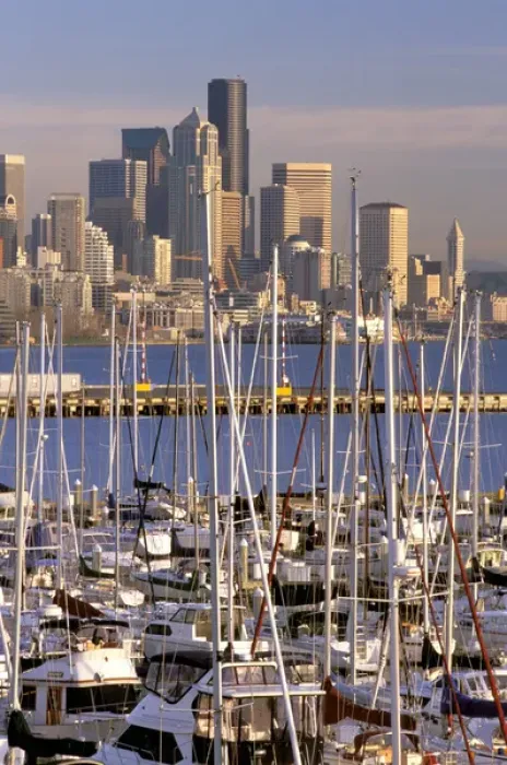 Framed Print : North America, USA, Washington State, Seattle. Elliott Bay Marina and downtown Seattle