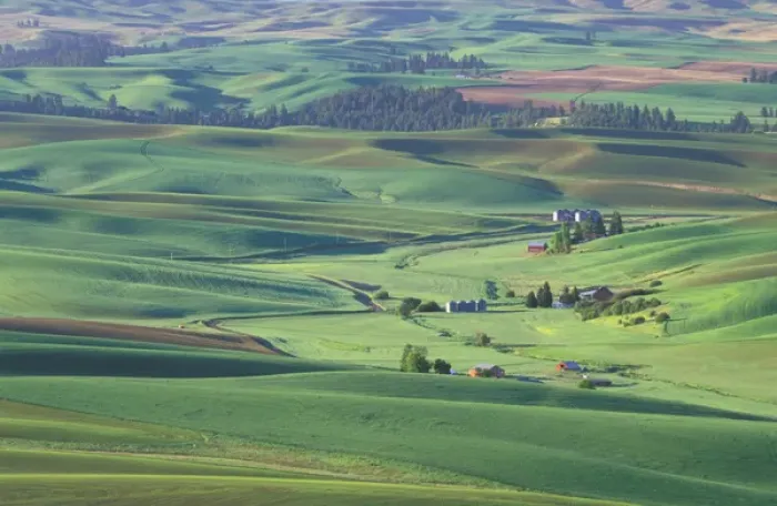 Framed Print : North America, USA, Washington State, Whitman County. Palouse Farmland view