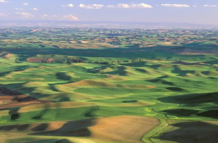Framed Print : North America, USA, Washington State, Whitman County. Palouse Farmland view