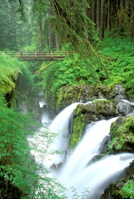Framed Print : North America, USA, Washington State, Olympic National Park. Sol Duc Falls and bridge