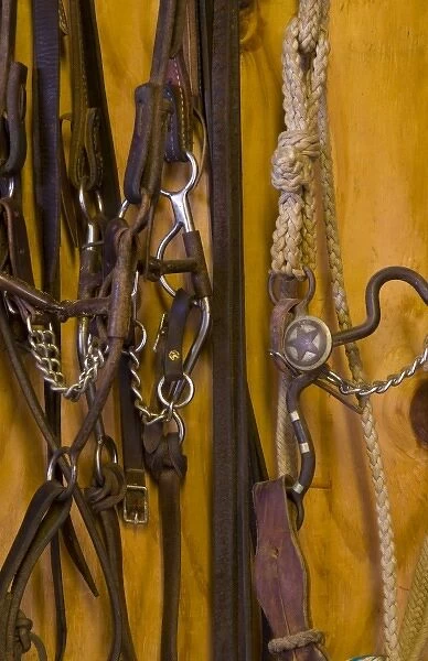 North America, USA, West. Riding gear for a horse, detail
