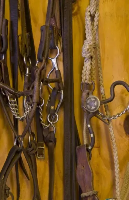 Framed Print : North America, USA, West. Riding gear for a horse, detail Framed Print : North America, USA, West. Riding gear for a horse, detail