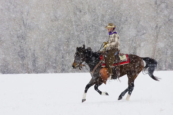 North America; USA; Wyoming; Shell; Cowboy riding in snowfall; (MR)