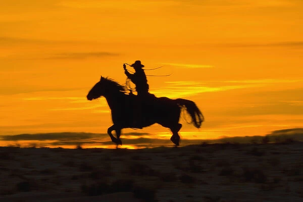 North America; USA; Wyoming; Shell; Cowboy riding in the Sunset with lariat Rope; (MR)