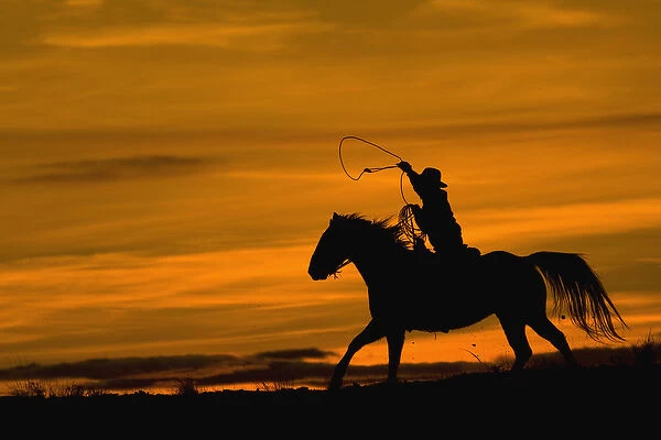 North America; USA; Wyoming; Shell; Cowboy riding in the Sunset with lariat Rope; (MR)