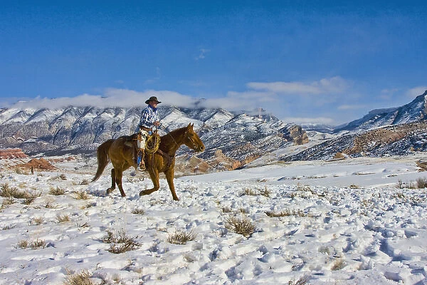 North America; USA; Wyoming; Shell; Cowboy riding Horse through the Snow; Model Released