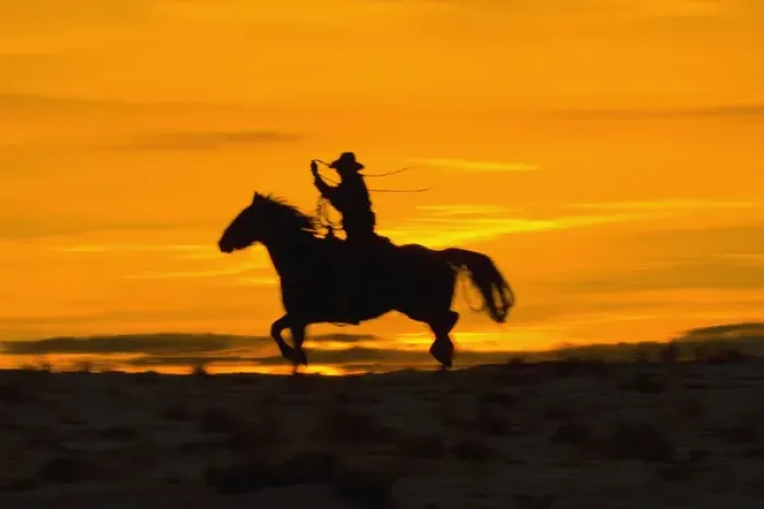 Framed Print : North America; USA; Wyoming; Shell; Cowboy riding in the Sunset with lariat Rope; (MR)