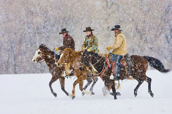 North America; USA; Wyoming; Shell; Cowboys and Cowgirl riding snowfall; (MR)