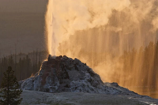North America, USA, Wyoming, Yellowstone National Park, Geyser spewing hot water and steam