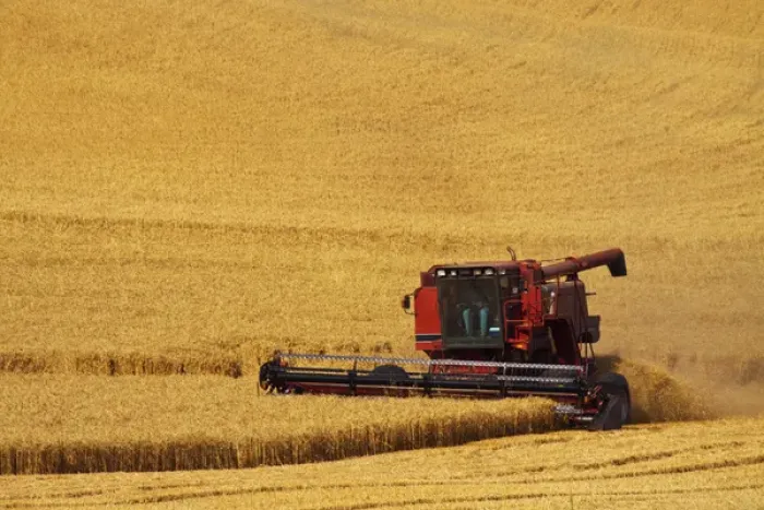 Framed Print : North America; Washington; Palouse Country; Combine Harvesting Wheat Framed Print : North America; Washington; Palouse Country; Combine Harvesting Wheat