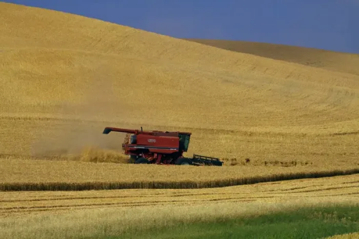Framed Print : North America; Washington; Palouse Country; Combine Harvesting Wheat Framed Print : North America; Washington; Palouse Country; Combine Harvesting Wheat