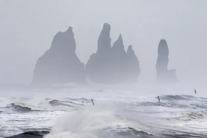 Framed Print : North Atllantic coast near Vik y Myrdal during a winter storm with heavy gales