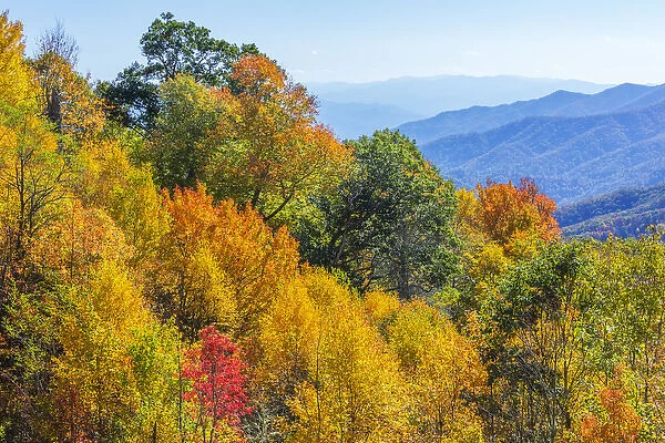 North Carolina, Great Smoky Mountains National Park, view from Newfound Gap Road