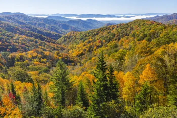 Framed Print : North Carolina, Great Smoky Mountains National Park, view from Newfound Gap Road Framed Print : North Carolina, Great Smoky Mountains National Park, view from Newfound Gap Road