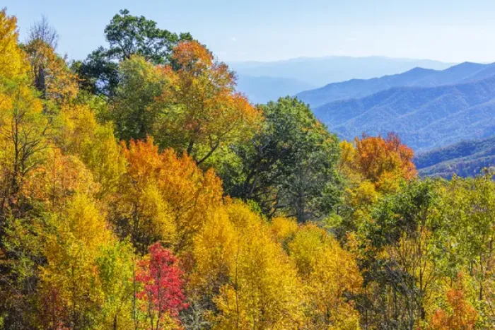 Framed Print : North Carolina, Great Smoky Mountains National Park, view from Newfound Gap Road