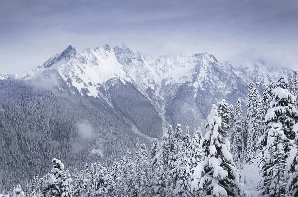 North Cascades after fresh snowfall. Mount Sefrit and Nooksack Ridge in the distance
